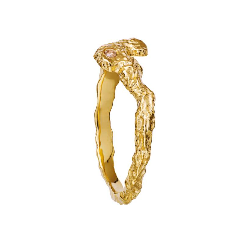 Frida ring, Maanesten