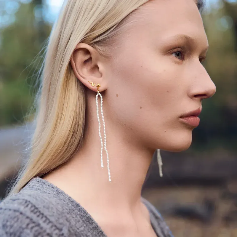 Era øredobber, Maanesten