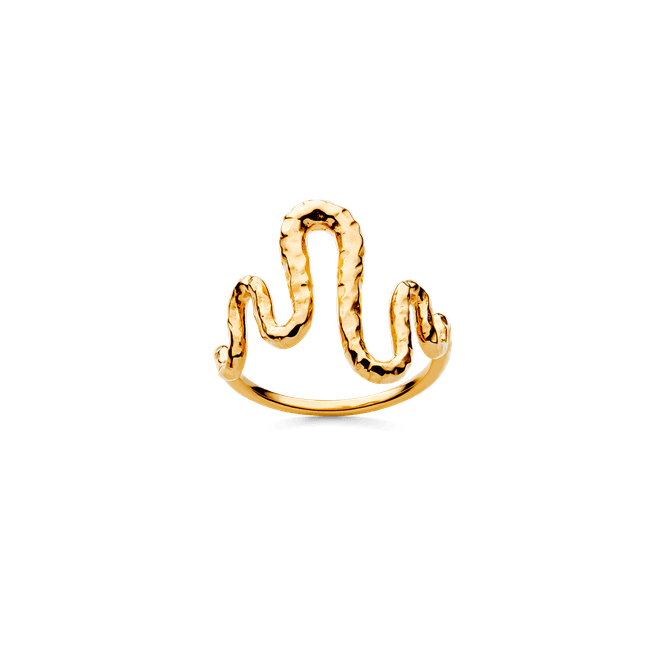 Hovedbilde Viva ring, Maanesten