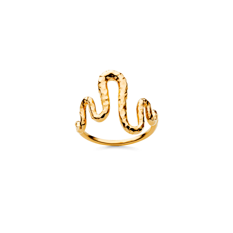 Viva ring, Maanesten